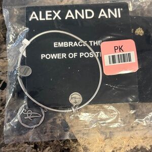 Alex and Ani Silver Tone Inspirational Charm Bangle